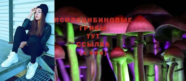 стаф Козельск