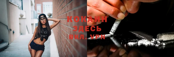 стаф Козельск