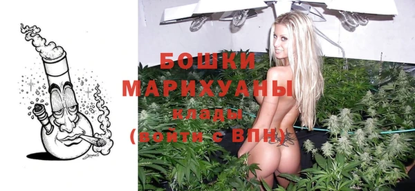 стаф Козельск