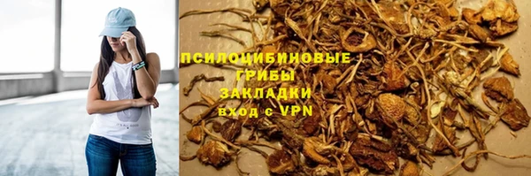 хмурый Краснотурьинск