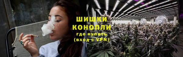 стаф Козельск