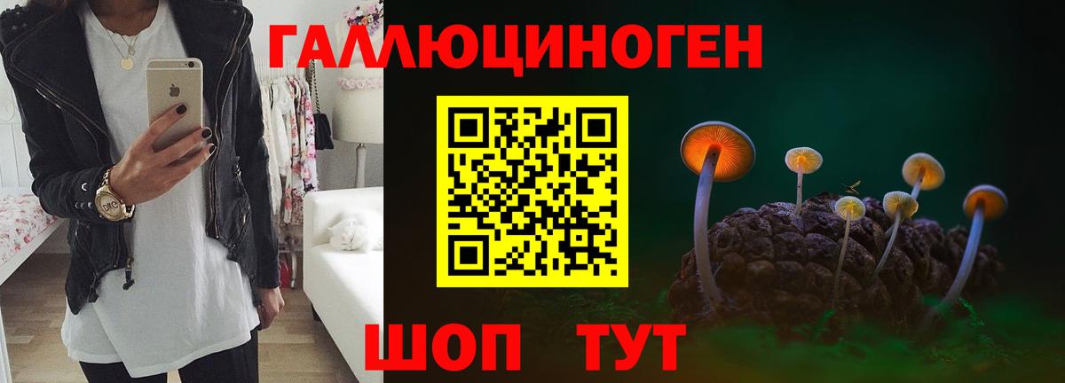 как найти закладки  Псилоцибиновые грибы прущие грибы  Мелеуз  Псилоцибиновые грибы GOLDEN TEACHER 